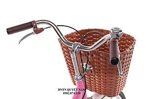 Xe đạp mini Thống Nhất Autumn LD 24-01 - Hàng chính hãng