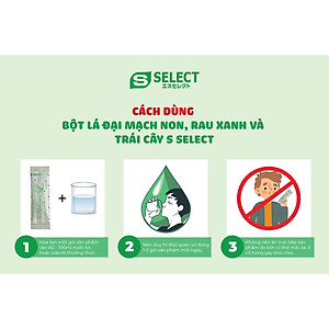 Bột Lá Đại Mạch Non, Rau Xanh Và Trái Cây S Select Thải Độc Cơ Thể, Làm Đẹp Da, Chống Lão Hóa