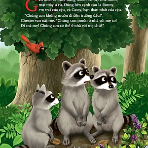 Sách Gấu Mèo Chester Và Kẻ Bắt Nạt To Xác Xấu Xa (Tái Bản)