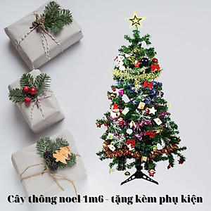 Cây thông Noel 1,5m trang trí cho mùa giáng sinh an lành tặng kèm phụ kiện đầy đủ - Cây thông Noel full phụ kiện