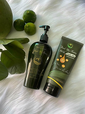 Combo dầu gội thảo dược Thanh Mộc Hương sạch gàu mượt tóc kích thích nang tóc phát triển 350ml