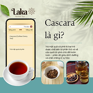 Trà Cà Phê Cascara LAKA Gói 5gr, 100% vỏ cà phê chín mọng Hỗ Trợ Giảm Cân, Ngừa Lão Hóa Và Ổn Định Đường Huyết