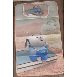 Chiếu điều hòa kèm gối loại xịn cho bé trai, bé gái