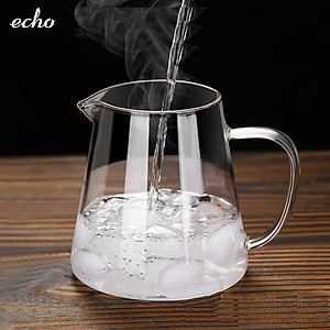 Ấm pha trà thủy tinh chịu nhiệt kèm lõi lọc Inox Echo Japan 650ml