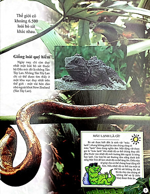 Sách Bách Khoa Tri Thức Về Khám Phá Thế Giới Cho Trẻ Em - Reptiles - Bò Sát