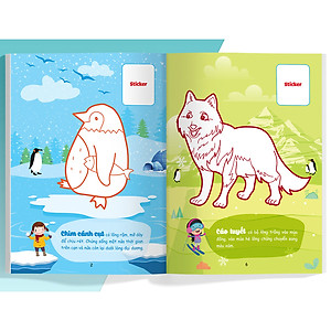 Combo Con Tô Màu Thám Hiểm (4 cuốn)