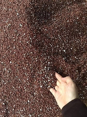 Gạo Lứt Huyết Rồng Dân Tộc Rang Nguyên Chất MẸ KEN 1Ký - TRÀ GẠO LỨT, GẠO LỨT RANG MẸ KEN