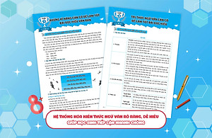 Chinh phục 8+ luyện thi vào lớp 10 môn Ngữ Văn theo chủ đề (sách ôn luyện cho các bộ sách giáo khóa mới)