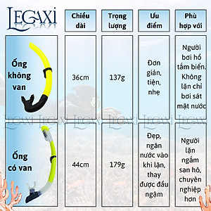 Ống Thở Bơi Lặn Biển Ngắm San Hô Đáy Biển Dã Ngoại Picnic