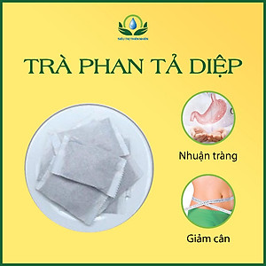 Trà Phan Tả Diệp Hộp 30 Túi Lọc x3gr Siêu Thị Thiên Nhiên