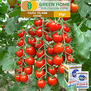 Thuốc Trị Nấm Cây Trồng Greenhome, Coc85 Wp, Gói 20gr, Trừ Đốm Lá Cho Hoa Hồng, Nấm Trên Kiểng Lá, Cây Cảnh, Cây Ăn Quả