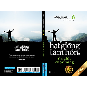 Sách Hạt Giống Tâm Hồn 6 (Tái Bản)