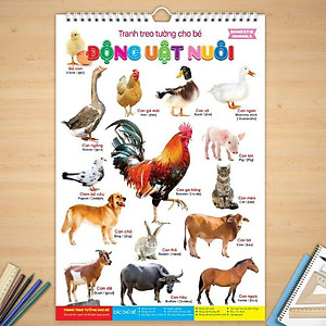 Mua Bộ Tranh Treo Tường 14 Chủ Đề Về Thế Giới Xung Quanh Cho Trẻ Từ 6 Tháng Mua Bộ Tranh Treo Tường 14 Chủ Đề Về Thế Giới Xung Quanh Cho Trẻ Từ 6 Tháng
