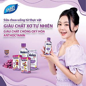 Thùng 24 Lon Sữa Chua Uống Từ Thực Vật Wakai Active (250ml x 24 lon)