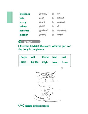 Tự Học 2000 Từ Vựng Tiếng Anh Theo Chủ Đề (Tái Bản)