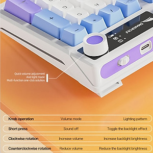 Bàn Phím Cơ Gaming không dây MK95 Bluetooth + USB + Cáp Pin sạc TypeC Hotswap cho máy tính laptop điện thoại hàng nhập khẩu