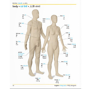 Sách Từ điển hình ảnh Tam Ngữ Trung Anh Việt – Visual English Vietnamese Chinese Trilingual Dictionary + DVD quà tặng