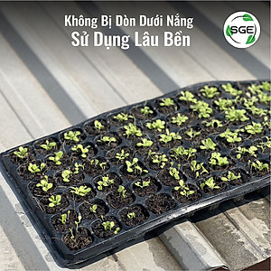Khay Gieo Hạt/ Khay Ươm Cây Giống GT. Cho Năng Suất Cao, Cây Nhanh Lớn, Cây Con Khỏe, Dễ Sinh Trưởng. Thương Hiệu SGE
