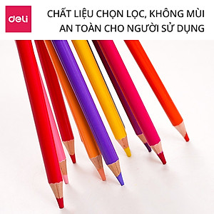 Bút chì màu gốc dầu cao cấp Deli - 6565 / 6566 / 6567