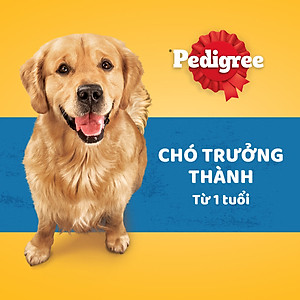 Thức Ăn Cho Chó Trưởng Thành Pedigree Adult 1+ Years Vị Gà, Rau Củ 1.5kg/Túi