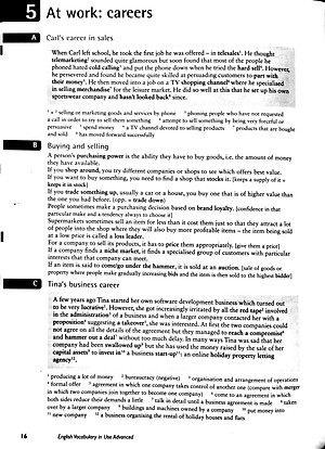 English Vocabulary in Use: Vocabulary Reference and Practice (CD-ROM)