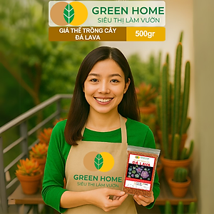 Đá Nham Thạch Lava GreenHome, Bao 500GR, Giá Thể Cho Thủy Sinh, Bonsai, Xương Rồng Màu Đỏ, Đen, Sạch Bụi