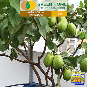 Phân Bón Npk 5-45-10, Greenhome, Đầu Trâu, Gói 10Gr, Phân Bón Kích Ra Hoa, Đậu Trái
