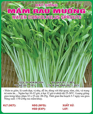 Hạt giống Mầm rau muống VTS171