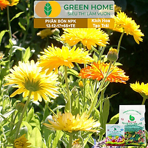 Phân bón NPK 12-12-17-6S+TE Greenhome, Better, Bao 1kg, Tăng Đậu Trái Cây Ăn Củ, Quả