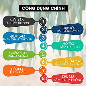 Tinh Dầu Khuynh Diệp Kobi Eucalyptus Essential Oil Giúp Hỗ Trợ Hệ Hô Hấp, Xua Đuổi Muỗi và Côn Trùng Hiệu Quả