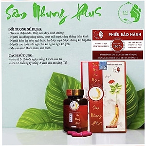 Viên Thảo Mộc Ăn Ngon Sâm Nhung Plus giúp ăn ngon ngủ ngon, hỗ trợ tăng cân an toàn hiệu quả