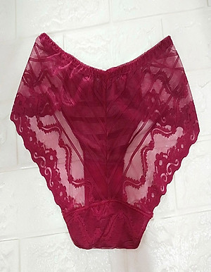 Combo 10 Quần Lót Nữ Ren cao cấp hàng việt nam 632