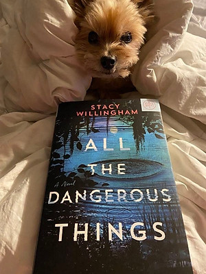 Sách All the Dangerous Things: A Novel