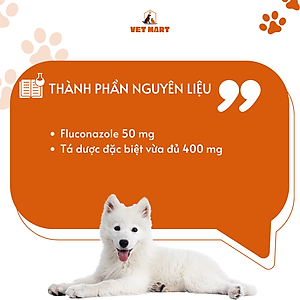 Thuốc Hỗ Trợ Trị Nấm Da, Lông, Móng Và Toàn Thân Cho Thú Cưng Five flucan - Hộp 3 Vỉ X 10 Viên