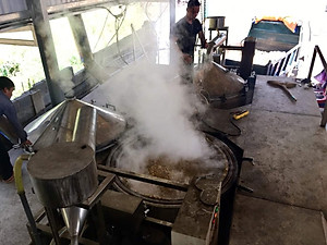 Tinh dầu gỗ Đàn Hương 100ml nguyên chất từ thiên nhiên - KingOil