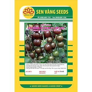Hạt giống cà chua bi đen - cherry đen F1 VTP96