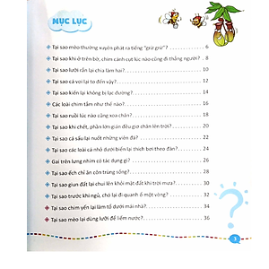 Sách 10 Vạn Câu Hỏi Vì Sao - Siêu Nhí Hỏi Nhà Khoa Học Trả Lời (Bộ 6 quyển)