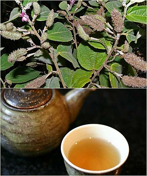 500gr trà cây an xoa