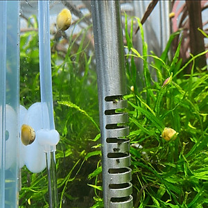 1 Mét dây sủi và 1 đá sủi oxy, quả sủi oxy dùng cho Máy sủi oxy, Máy sục khí - Tăng lượng khí oxy bể cá - Giúp cá lớn nhanh, phát triển mạnh ( Trắng - Đen)