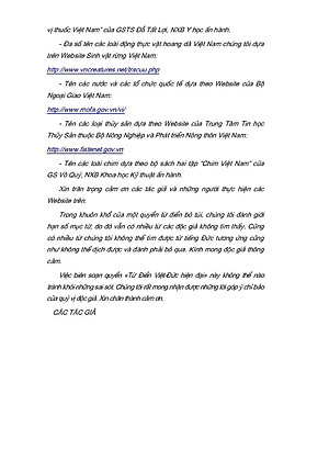 Từ Điển Việt - Đức Hiện Đại (Tái Bản)