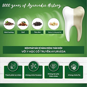 Kem Đánh Răng Thảo Dược Sudanta Sri Sri Tattva - Không Chứa Flouride, 100% Thuần Chay, Chắc Răng, Thơm Miệng, Ngừa Các Bệnh Từ Răng Miệng, Nướu Bằng Y Hoc Cổ Truyền Ayuveda