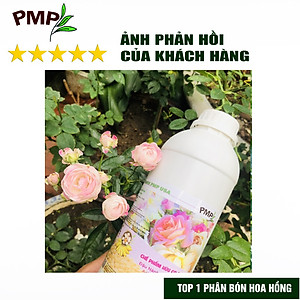Phân Bón Hoa Hồng SOYMIC PMP Siêu Phân Bón Ủ Vi Sinh Từ Đậu Nành, Trứng, Chuối, Humic, Vi Lượng 1000ml