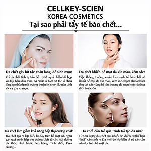 Tẩy Da Chết Mặt Tế Bào Gốc Thực Vật Lành Tính Làm Sạch Sâu Dịu Nhẹ Dưỡng Ẩm Sáng Da Cho Da Dầu Mụn Nhạy Cảm Cellkey-Scien White Peeling Gel (80ml)