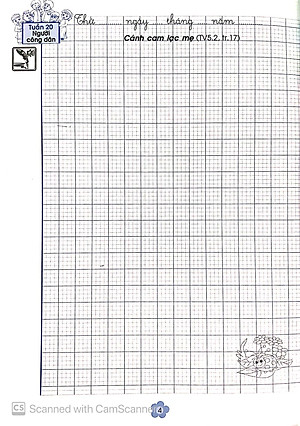 Luyện Viết Tiếng Việt Cho Học Sinh Tiểu Học - Học Viết Điều Hay Lớp 5 - Tập 2