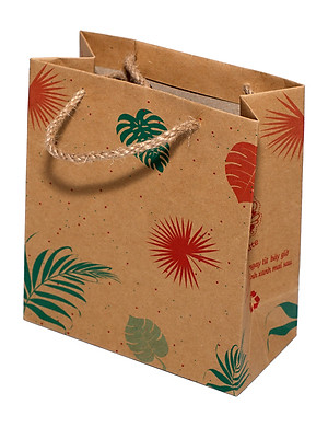 TÚI KRAFT KN201 - 18X16 X8 CM - NGẪU NHIÊN