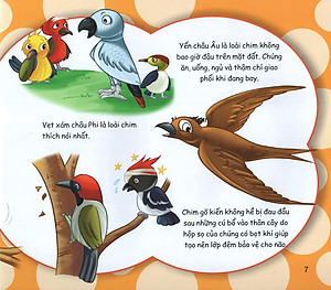 Sách Những Điều Kỳ Thú - Kiến Thức Thú Vị