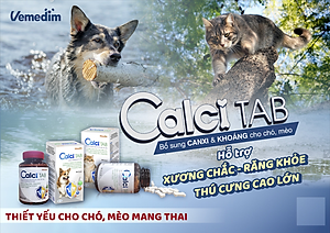 Hộp 50 viên Calci Tab Bổ Sung Canxi Cho Chó Mèo (Vemedim)