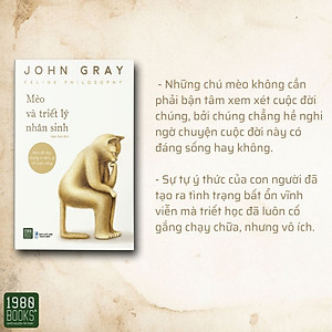 Sách Mèo Và Triết Lý Nhân Sinh - Mèo Đã Dạy Chúng Ta Điều Gì Về Cuộc Sống