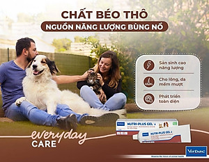 Nutri plus Gel - dinh dưỡng cao cấp cho chó mèo yếu và còi cọc 