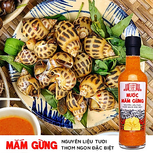 Đặc Sản Phan Thiết - Nước Mắm Gừng Pha Sẵn Cao Cấp Làng Chài Xưa, Nguyên Liệu Tươi, Thơm Ngon Đặc Biệt Từ Gừng, Tỏi, Ớt Tươi, Chai Thủy Tinh 300G
